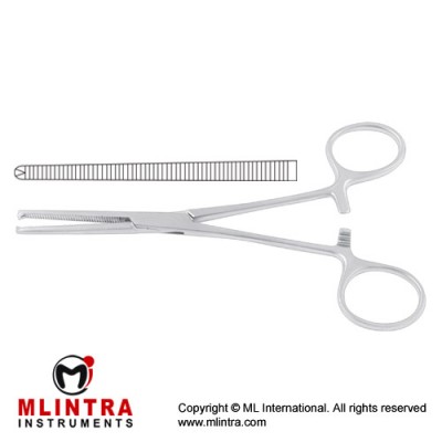 Ochsner-Kocher Haemostatic Forcep Straight - 1 x 2 Teeth Stainless Steel, 20.5 cm - 8"